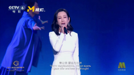 成人在线观看视频免费